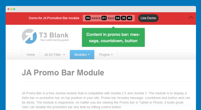 Flexible content in Promotion bar