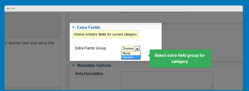 Select Extra Field Group in Category