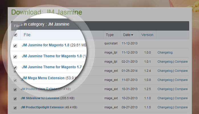 Magento theme download package