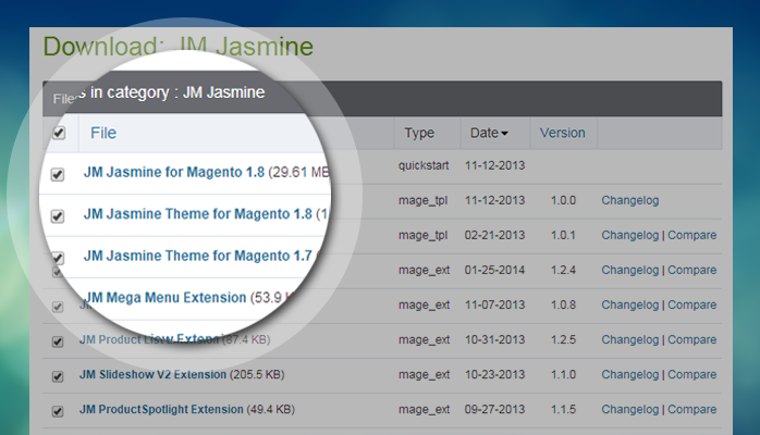 Magento theme download package