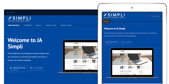 fully responsive template