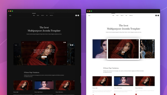 dark theme and light theme joomla template