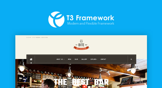 T3 framework template