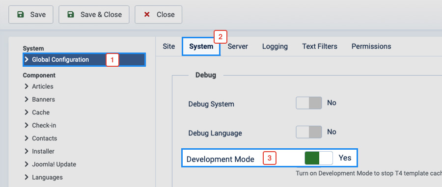 enable development mode