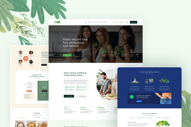 multi color theme Joomla Template for Health and Nutrition