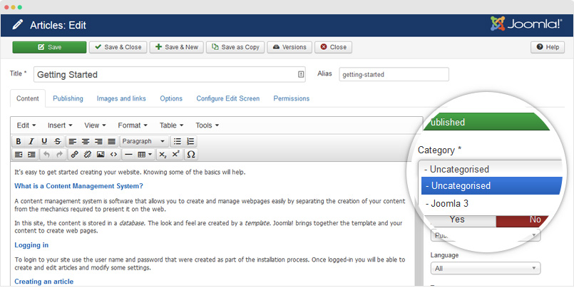 joomla category setting