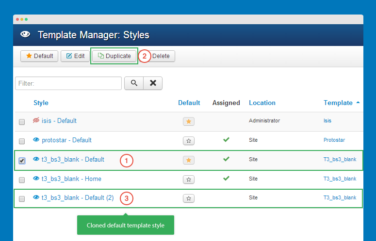 duplicate default template style